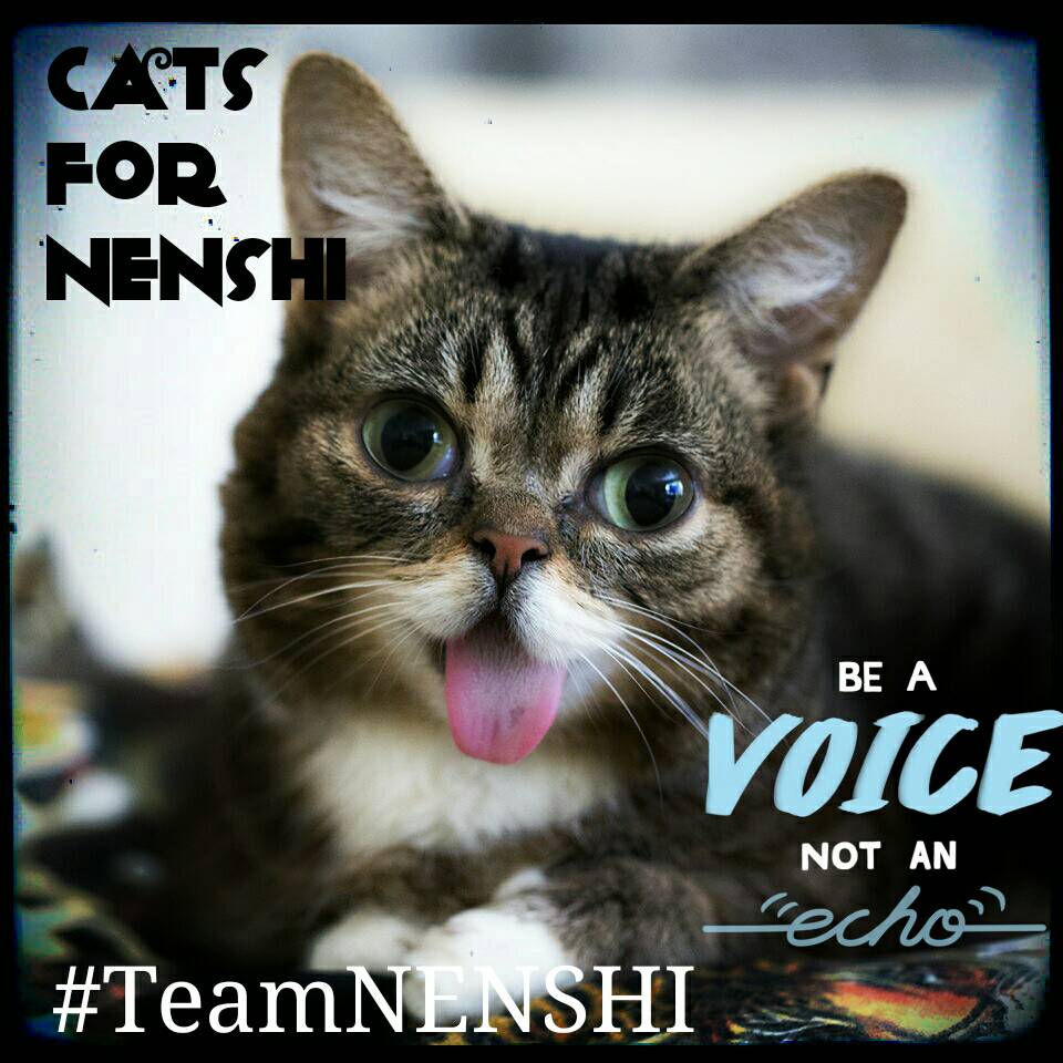 KleoTheCat's tweet photo. "Be A Voice Not an Echo" Re-Elect Mayor Naheed @nenshi  #teamnenshi #yycats #cats4nenshi https://t.co/wMGdn2BgGl