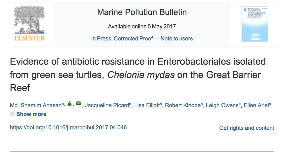 msahasan's tweet photo. My recent article on #AntibioticResistance #seaturtles 🐢🐢 #GreatBarrierReef. You may find interest on it.🌏
https://t.co/Q6hWbMk7Ld https://t.co/TKr8mMJkbD