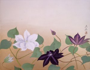 奥村土牛《初夏の花》(山種美術館)は爽やかな色合いの鉄線を描いた作品