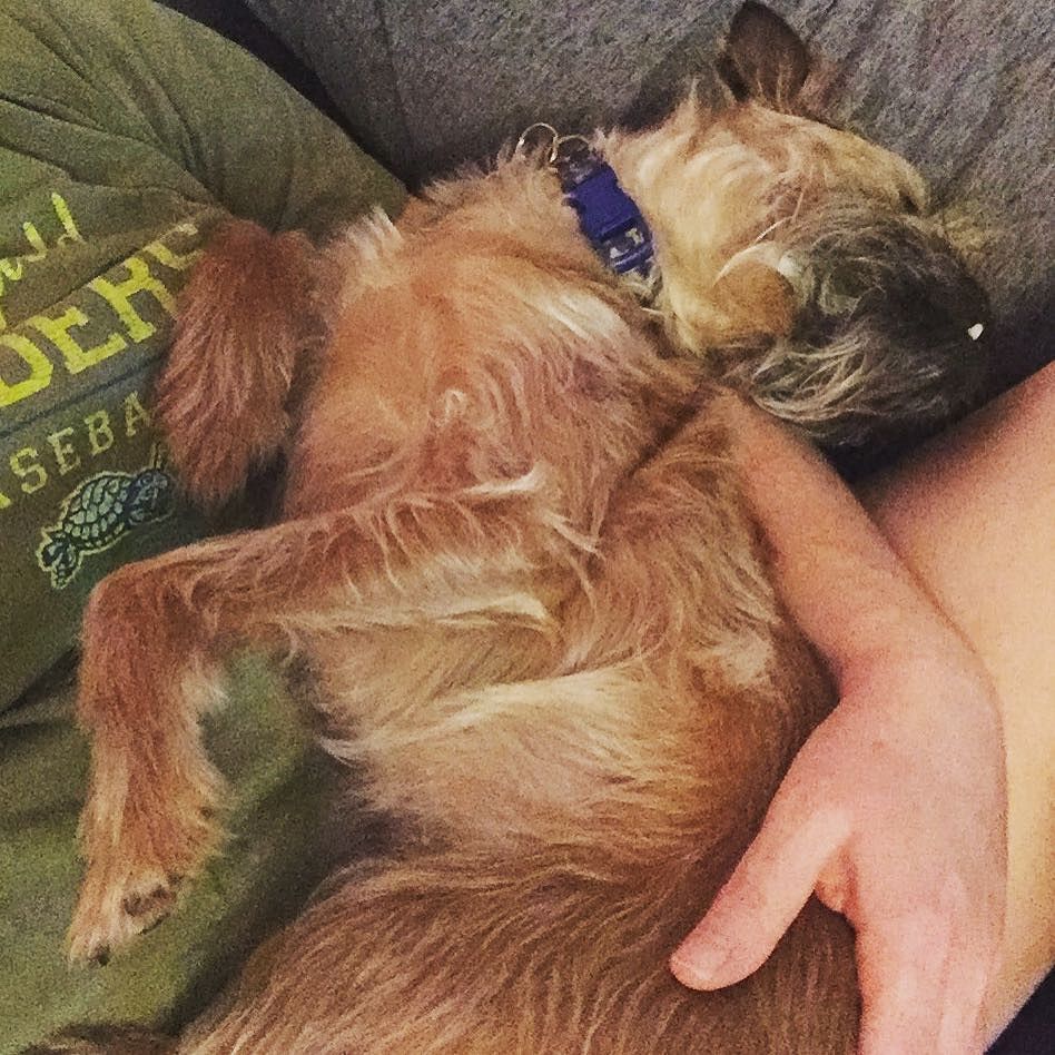 JessieDecker's tweet photo. When you stalk your mommy for an hour because you just want to be held like a baby while you sleep. 🙄😐 #teethfirst… https://t.co/nZqm0h27ud https://t.co/xEcVxtDE11