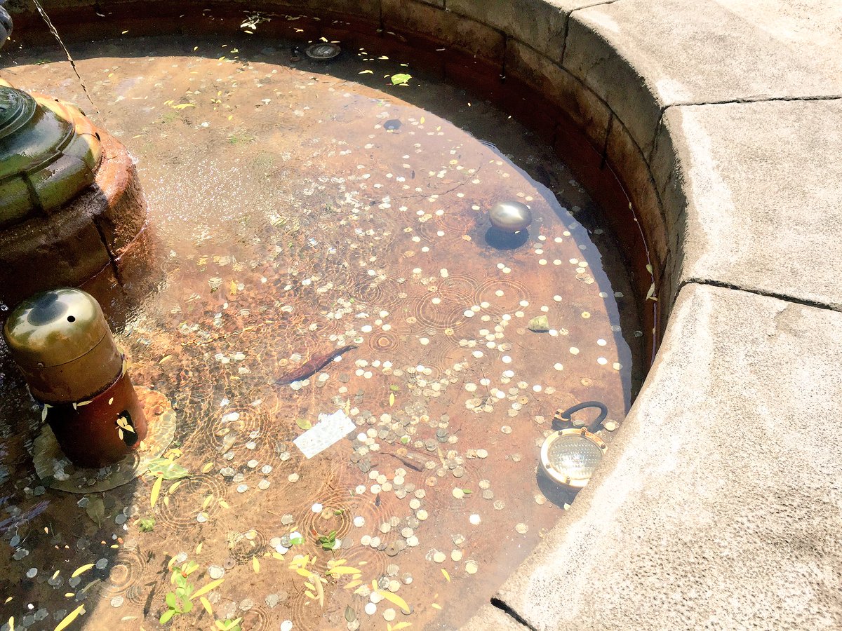 セントラルパーク(ギリギリ ニューヨーク エリア公園)にある噴水、よく見ると コインがいっぱい‼︎ ちなみに噴水にコインを投げる風習はイタリアのトレビの泉を真似てのことらしいのですが、私はとくに  そんな考え無しにポンポン投入れてます………。 #USJ
