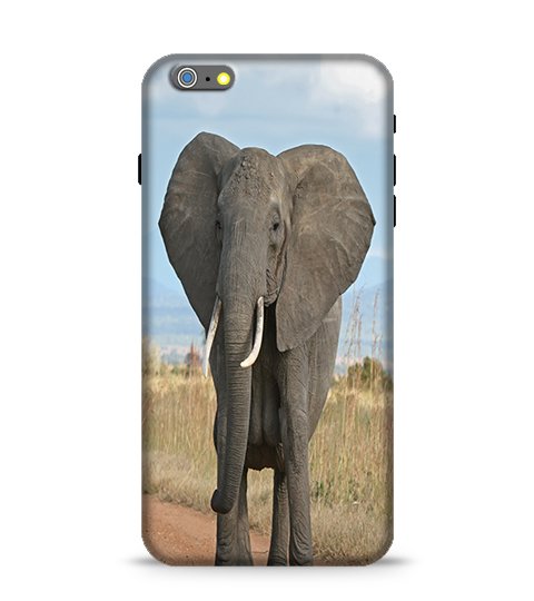 stylebaby_com's tweet photo. New post (11 Best Elephant Phone Cases and Covers) has been published on Style Baby Blog - https://t.co/VMoJhD79zC https://t.co/kMU67qpZt4