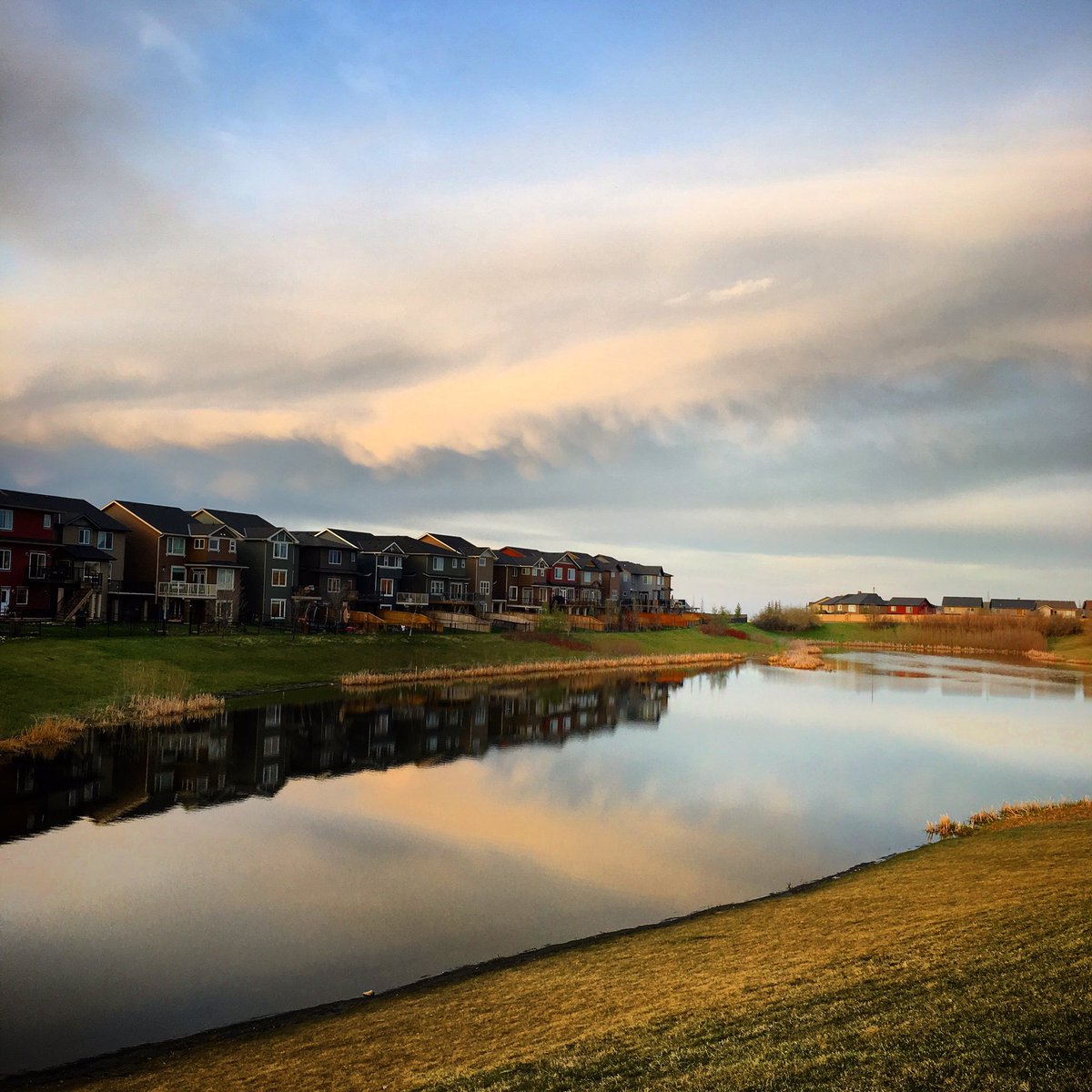 jtradke72's tweet photo. Slowly the leaves are beginning to show! #eveningrun #paskapooslopes #yyc https://t.co/eIQ60x1oYo