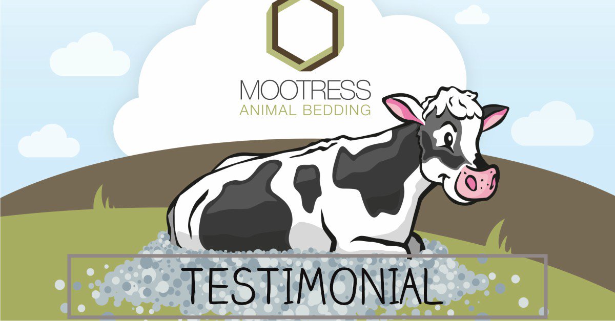 Mootress (@mootress) on Twitter photo 