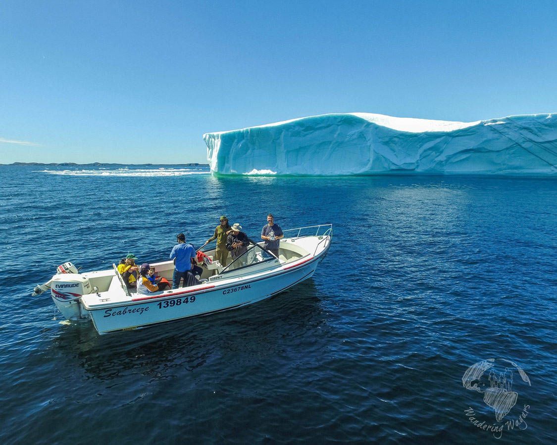 NLtweets's tweet photo. Great tips! MT @tappedouttravel: 5 Things to do in Twillingate #ExploreNL https://t.co/lfizMj1Fhn https://t.co/jXGvss3bDm