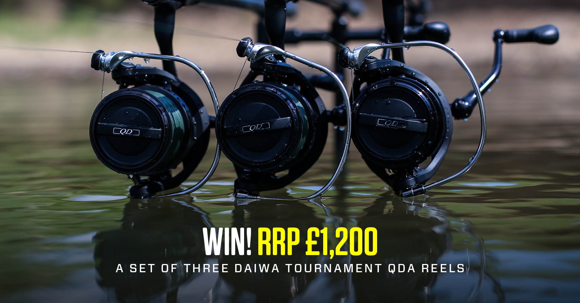 daiwa tournament qda
