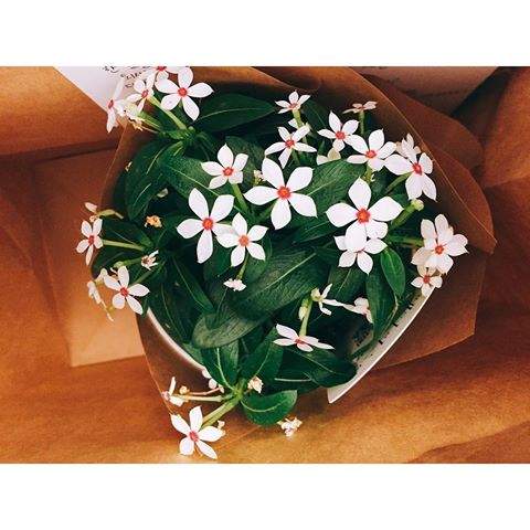 Nobody has the power to stop what you've been blessed with.💚 #quote #tuesdaymotivation #qotd