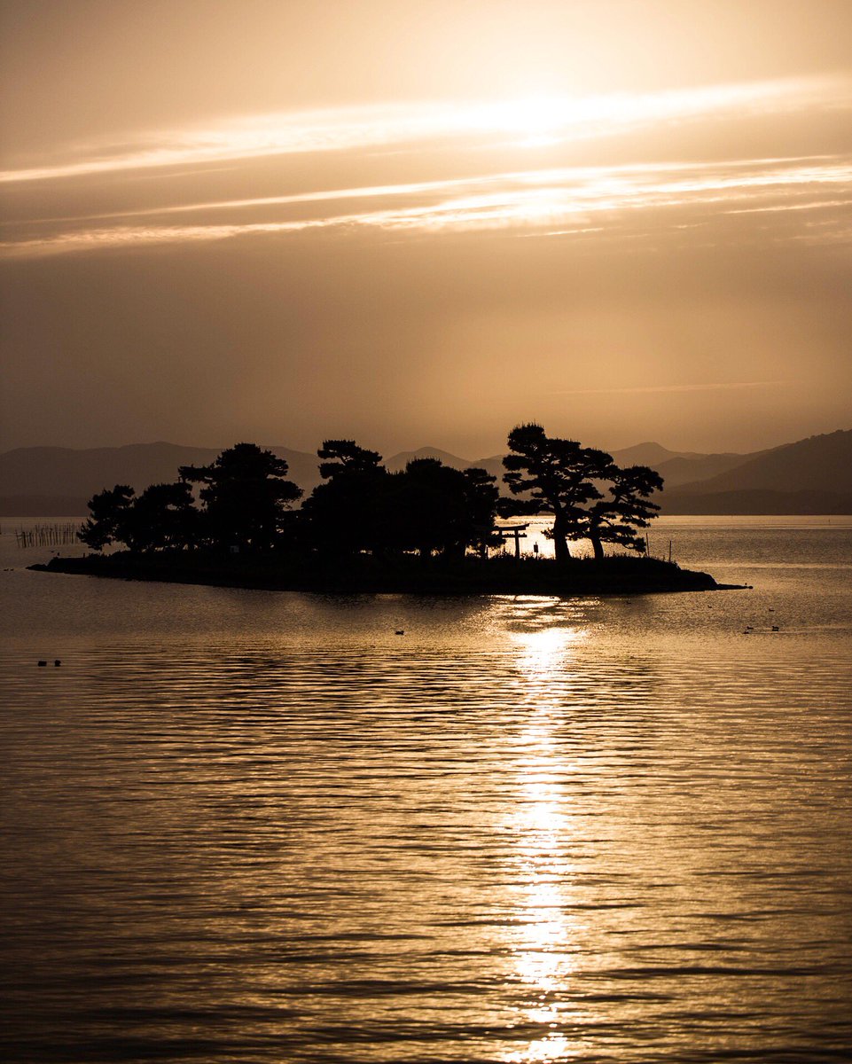 ミミ@島根の端っこ tweet media