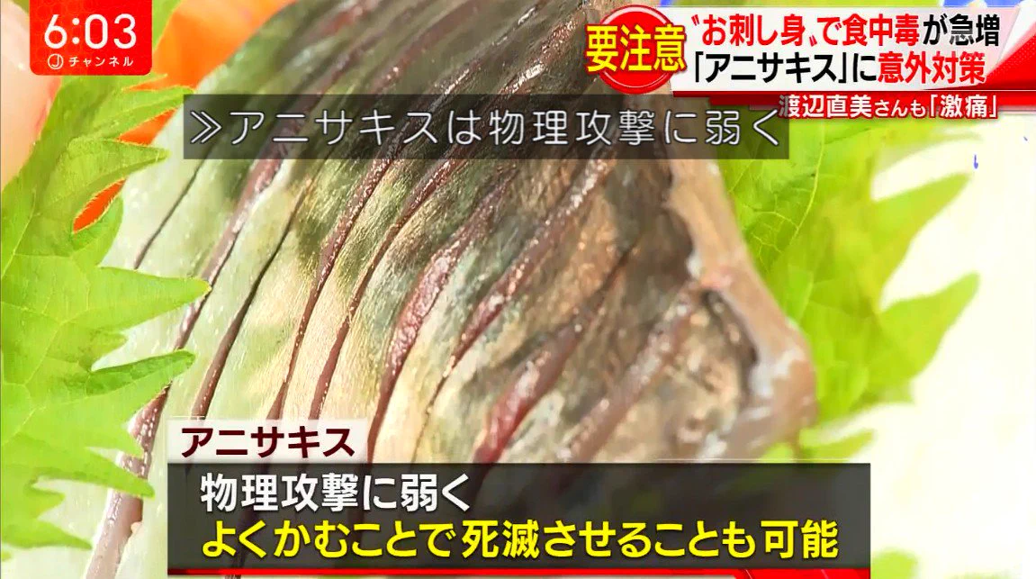 アニサキスには物理攻撃が有効？ｗｗｗただし高レベル者のみｗｗｗ