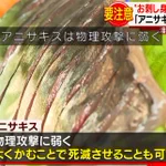 アニサキスには物理攻撃が有効？!ただし高レベル者のみ!