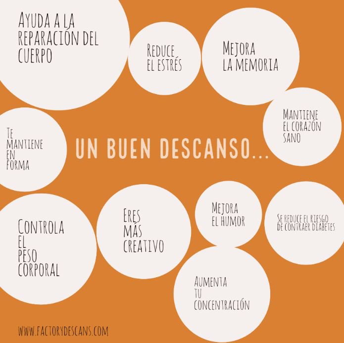 Factorydescans's tweet photo. Un buen descanso es algo serio, te puede proporcionar muchos beneficios.
#FactoryDescans ➡️ https://t.co/DCgXzC9qGY https://t.co/9sQhxDSCnO