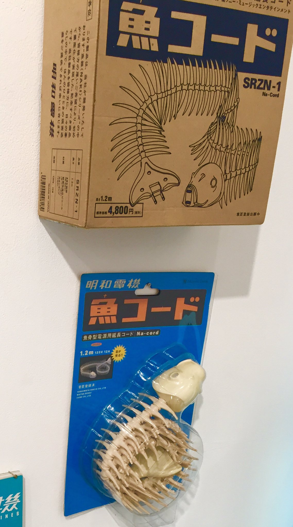 中村至男 على X: 