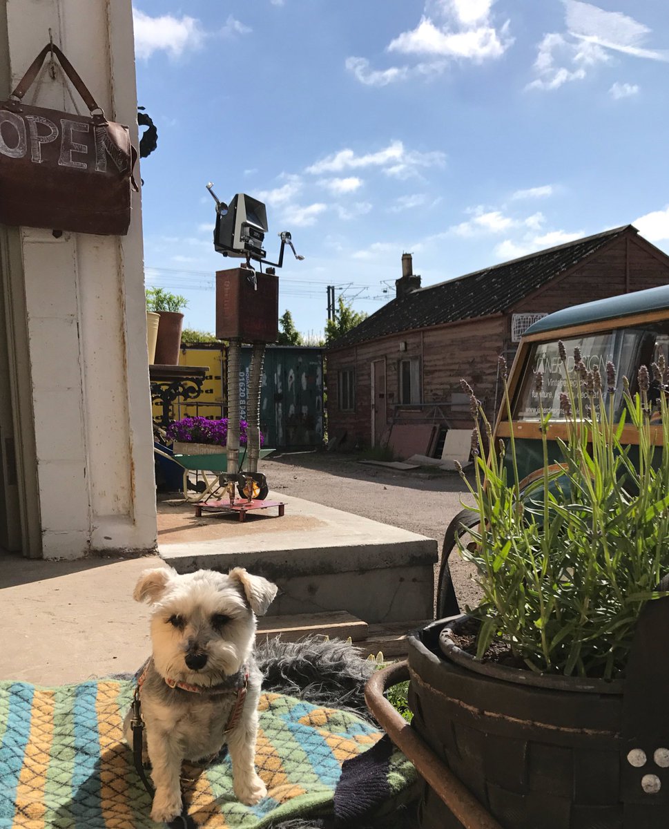 pika_robertson's tweet photo. Sunshine & good company @JanerDesigns #robot #light #sign made from #salvage #dunbar #eastlothian #visitjaner https://t.co/oGM1WliuH7