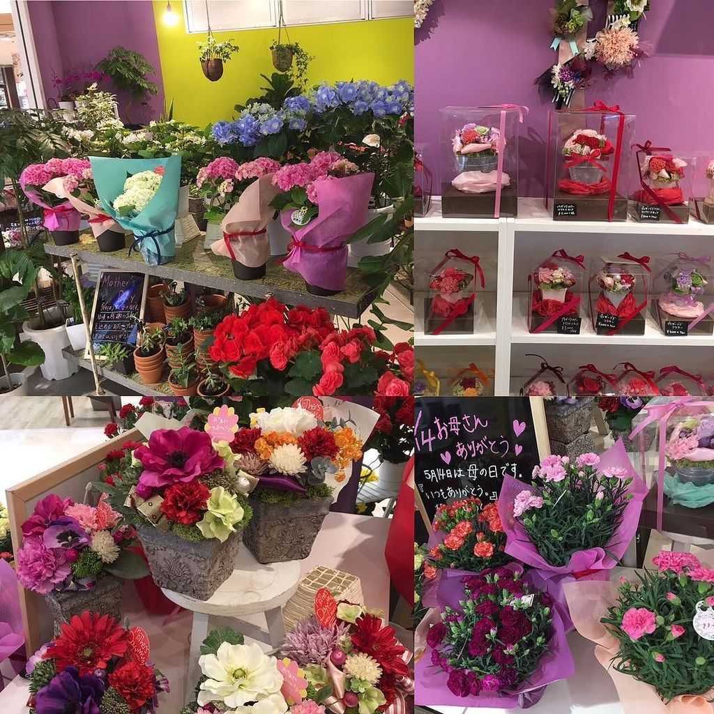 Flannerica 花屋 母の日ももうすぐ 是非フランネリカ姪浜店で素敵な母の日の贈り物を探して見てくださいね 結婚式 結婚準備 結婚 ブーケ フラワー 花 花屋 挙式 披露宴 コーディネート かわいい 熊本県 福岡県 T Co Ikcetkrktd Flannerica 花屋 母の日ももうすぐ 是非フランネリカ姪浜店で素敵な母の日の贈り物を探して見てくださいね 結婚式 結婚準備 結婚 ブーケ フラワー 花 花屋 挙式 披露宴 コーディネート かわいい 熊本県 福岡県 T Co Ikcetkrktd