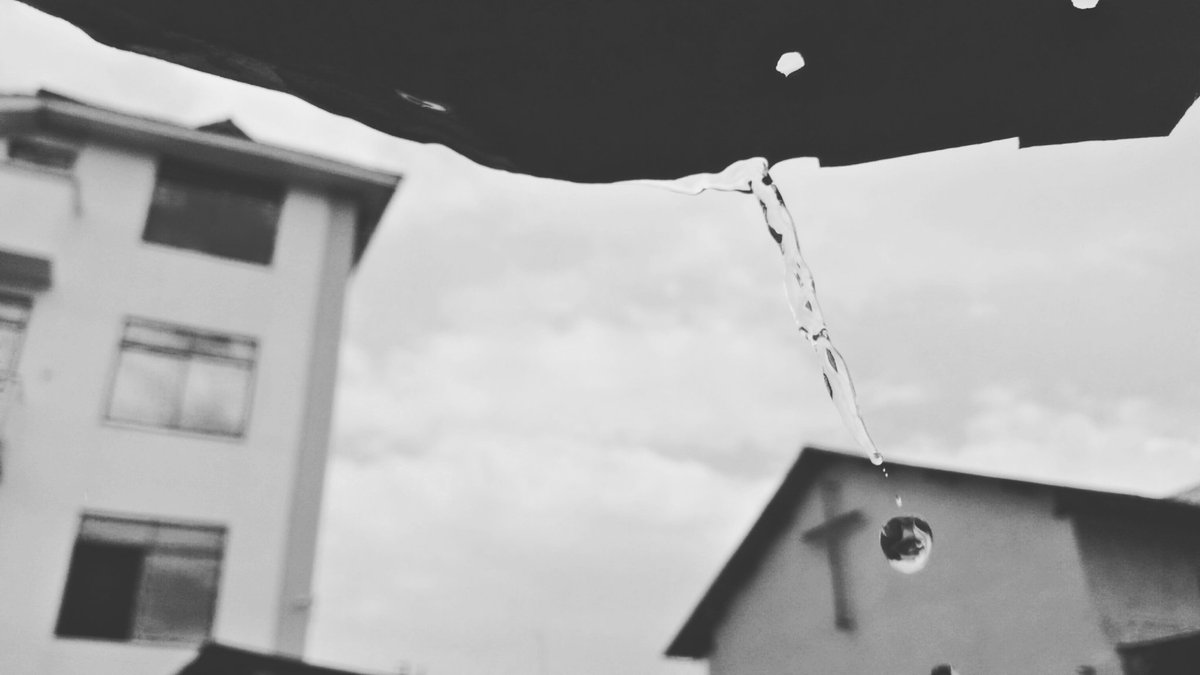 boy_davvy's tweet photo. #RainPhotography #WetDrop #SamsungA3 @SamsungMobileTz https://t.co/jqPfJaBAqt