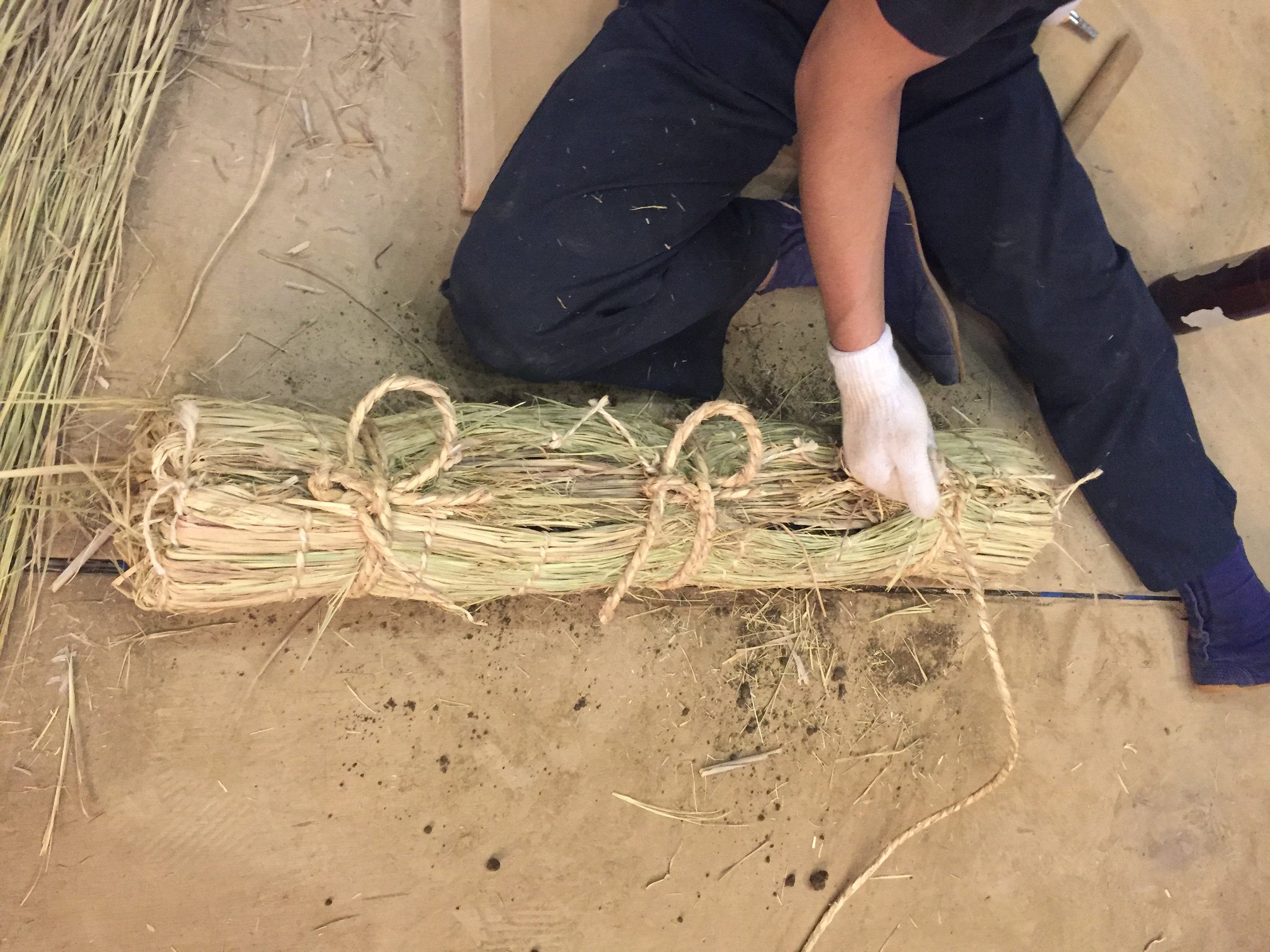 C_XMM0RU0AAVWWb.jpg:large