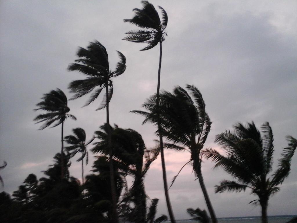EdwardJohna's tweet photo. @FijiGov_RMDNDM @RadioFiji1 @fijivillage  weather like here in Vanuabalavu.

#TeamFiji #WeatherWatch https://t.co/DhjKfK4FS5