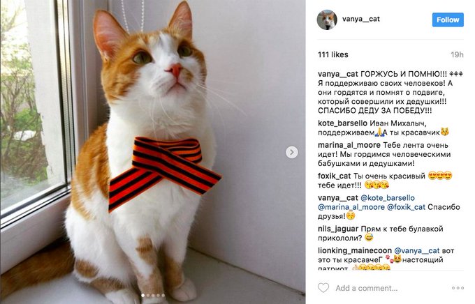 View image on Twitter View image on Twitter