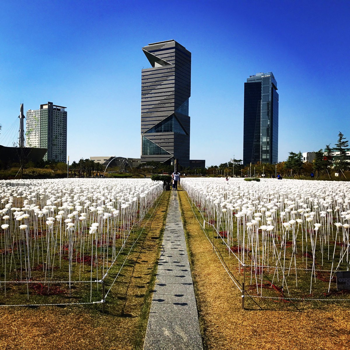 #throwback to our trip to #korea #ecocity #architecture #wanderlust