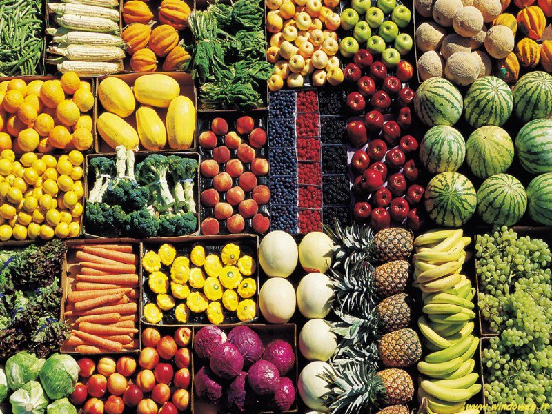 IEGexpo's tweet photo. Domani grande apertura per #Macfrut https://t.co/KcgGUOPa6B - 8 padiglioni,1100 espositori,1200 buyers da tutto il mondo https://t.co/nQG0LCE7lf