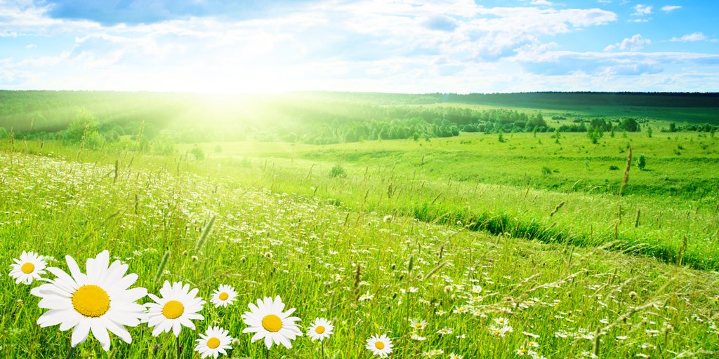 ZucchettiCS's tweet photo. #ZCSBlog Investire nelle #Rinnovabili: una scelta etica e consapevole https://t.co/1mj9rxldXk #fotovoltaico #risparmioenergetico #natura https://t.co/WZXl8p7lUx