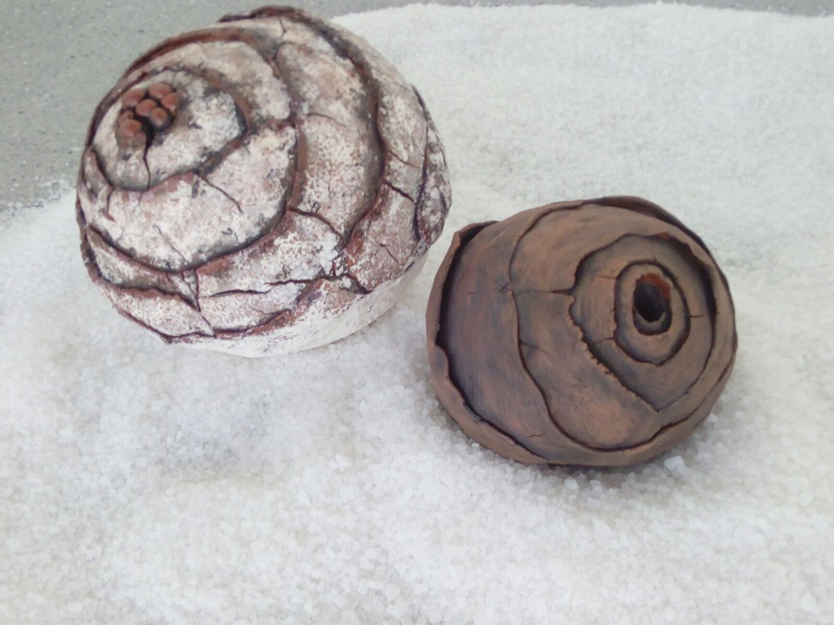 EASD_castelló tweet media