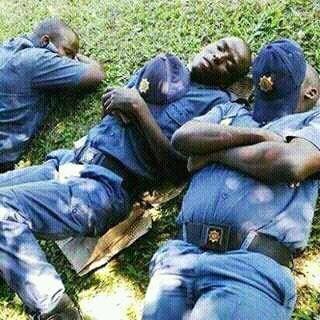 BleezySa's tweet photo. #LionsEscape laba  balele https://t.co/DyO0CFwUSQ