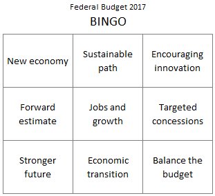 Lighten tonight's viewing of the #budget2017 by playing Bingo