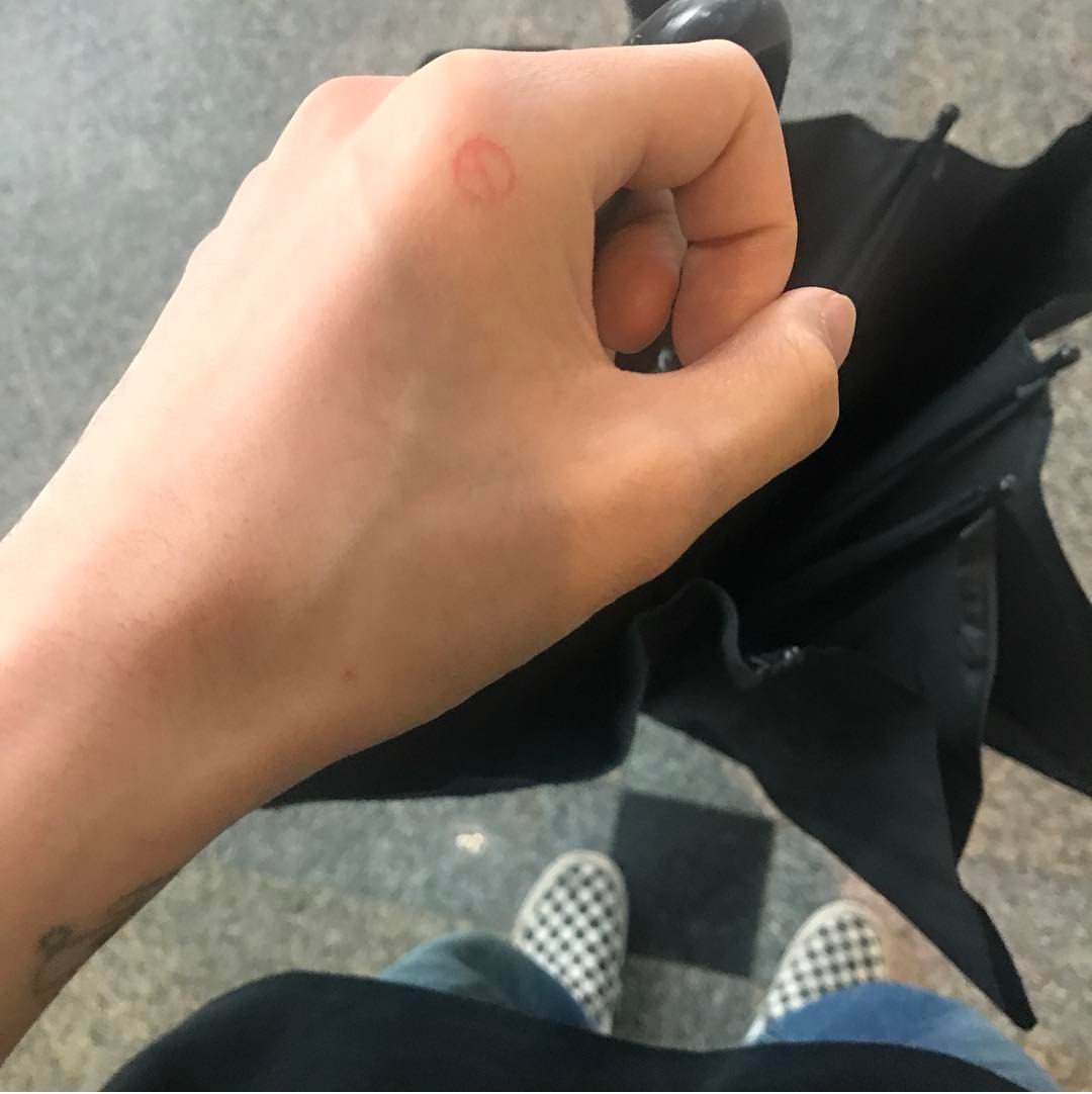 soulfuljooyoung's tweet photo. 170509 Jooyoung Instagram
(No caption) https://t.co/mLaO693FWJ