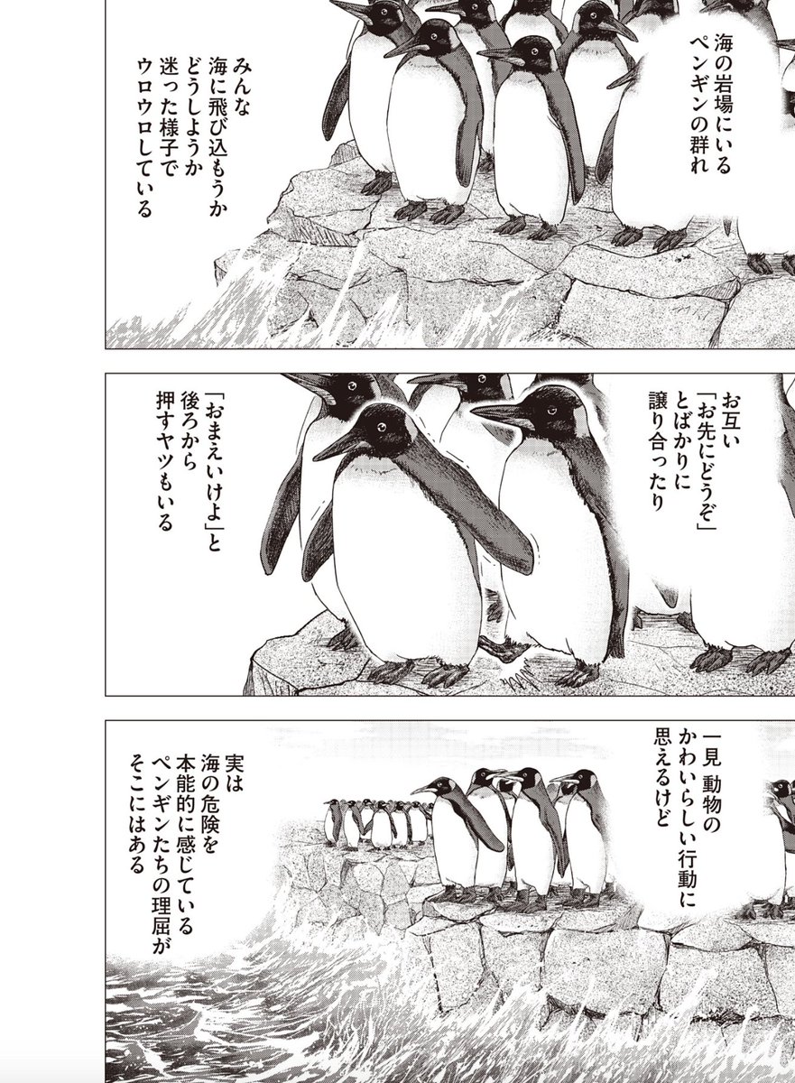 今日の右肩上がり名言】 「ベンチャーはファーストペンギンになれる