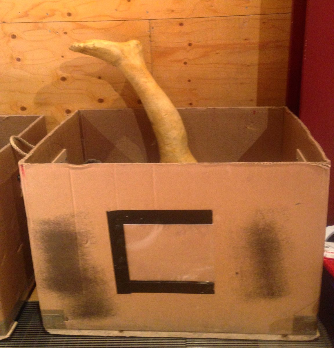 TheRSC's tweet photo. News just in from the #RSCTitus rehearsal room. Actors BEWARE 😱🙊 

https://t.co/NOuCApQ1JH https://t.co/GkjtENV5kz