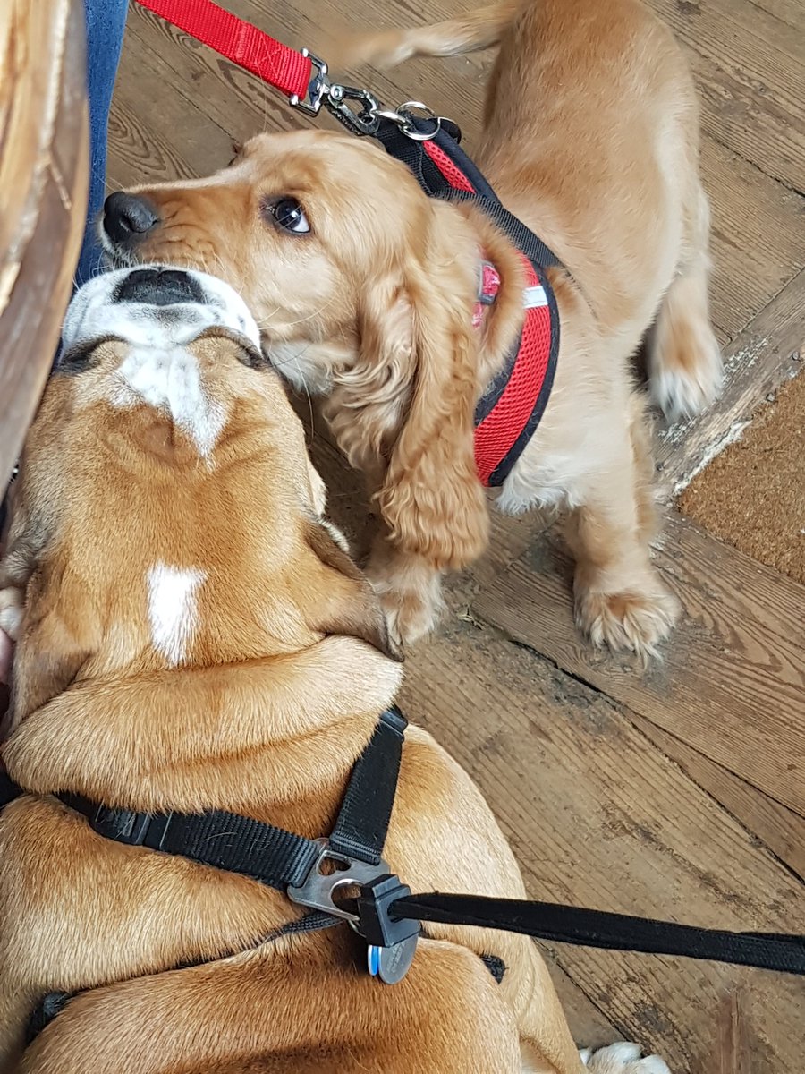 .<a href="/Henrys4Coffee/">Henry's Coffee Shop & Kitchen</a>