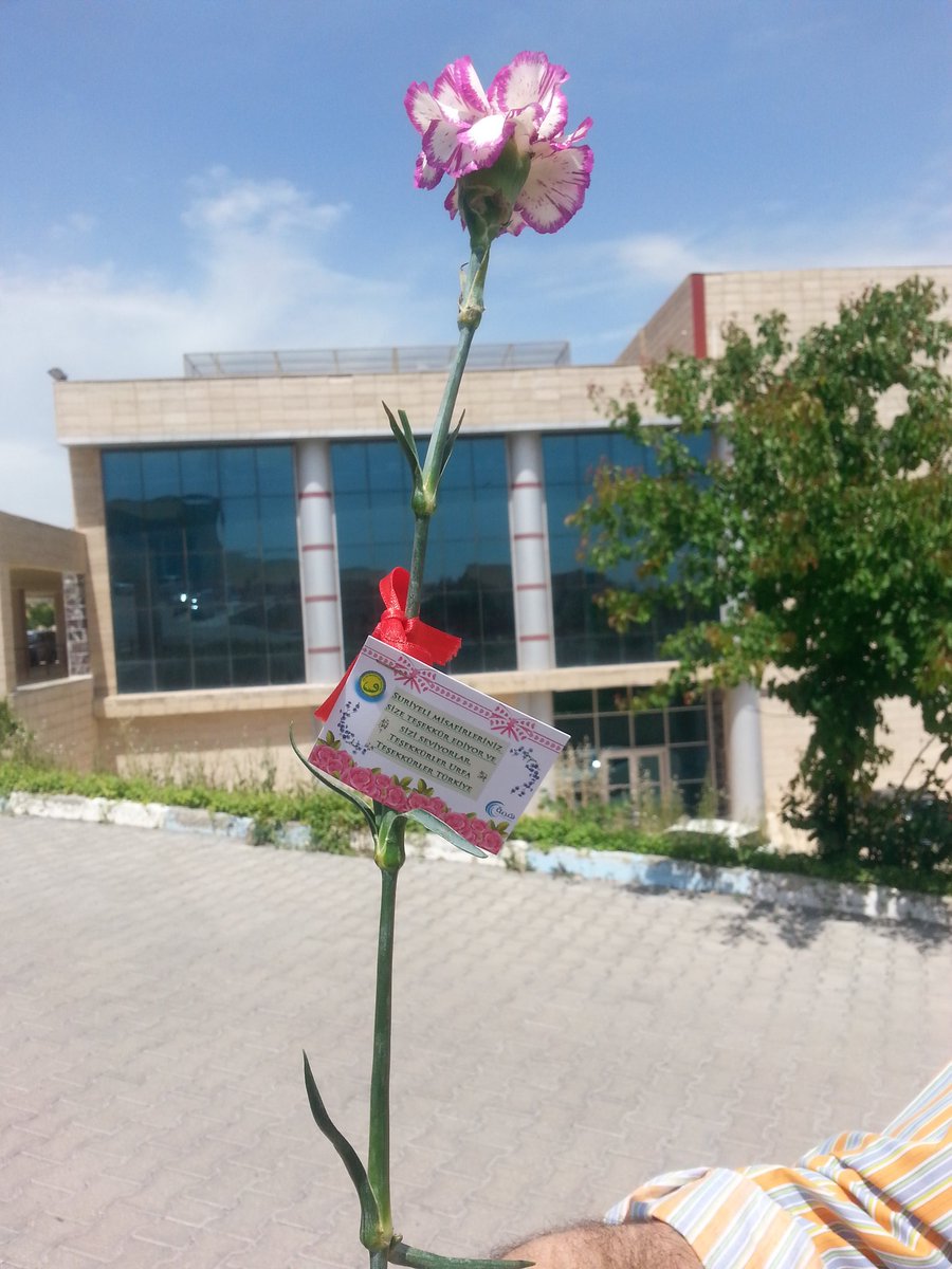 MSHNLP's tweet photo. #MessageOfTheDay from #HarranUniversity's #Syrian #students!
"Your #Syrian guests thank & love you! Thanks #Şanlıurfa
Thanks #Turkey" https://t.co/2eh1uel3gM