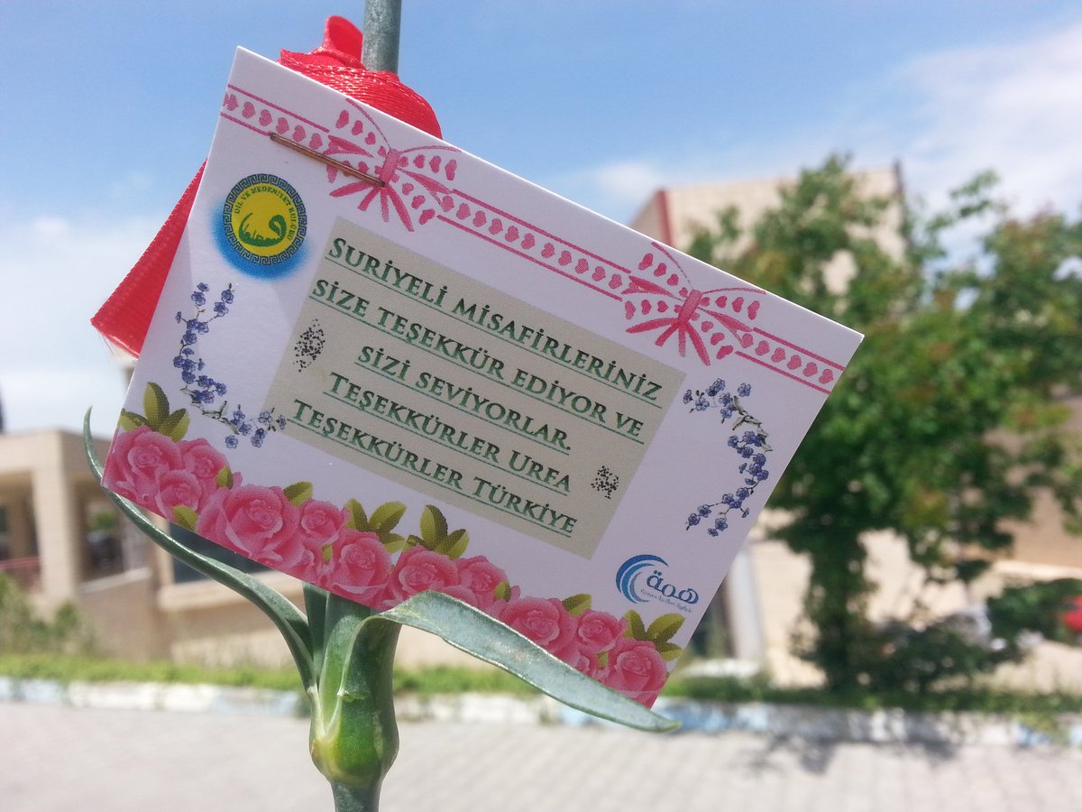 MSHNLP's tweet photo. #MessageOfTheDay from #HarranUniversity's #Syrian #students!
"Your #Syrian guests thank & love you! Thanks #Şanlıurfa
Thanks #Turkey" https://t.co/2eh1uel3gM