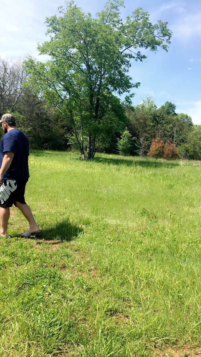 joshkline64's tweet photo. Closed on our land last week. #68acres #lotsofhunting https://t.co/NiUirklj4p