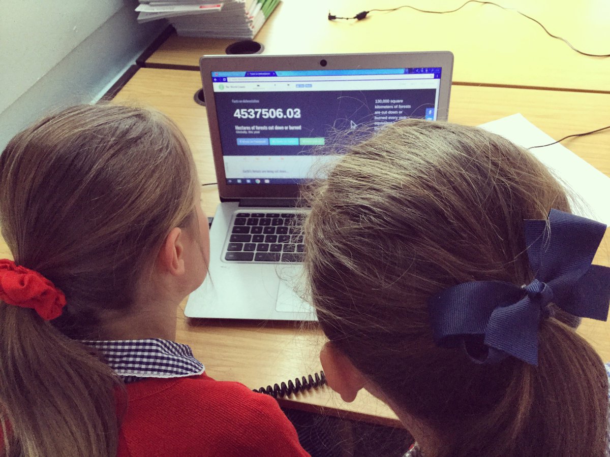 Sedbergh_Prep's tweet photo. A SOLE lesson on deforestation with Year 4 #SOLELearning https://t.co/hMisi5KoaN