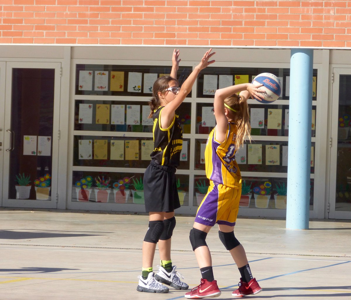 ASRBasketAlmeda's tweet photo. Àlbum 📸 #M1F #nuncadejesdesoñarensermetralleta https://t.co/ZlLQh7oFov Actualitzat amb els 2 partits del cap de setmana 📷 @gemmatatay 🏀👏 https://t.co/rIuWYKFAXP