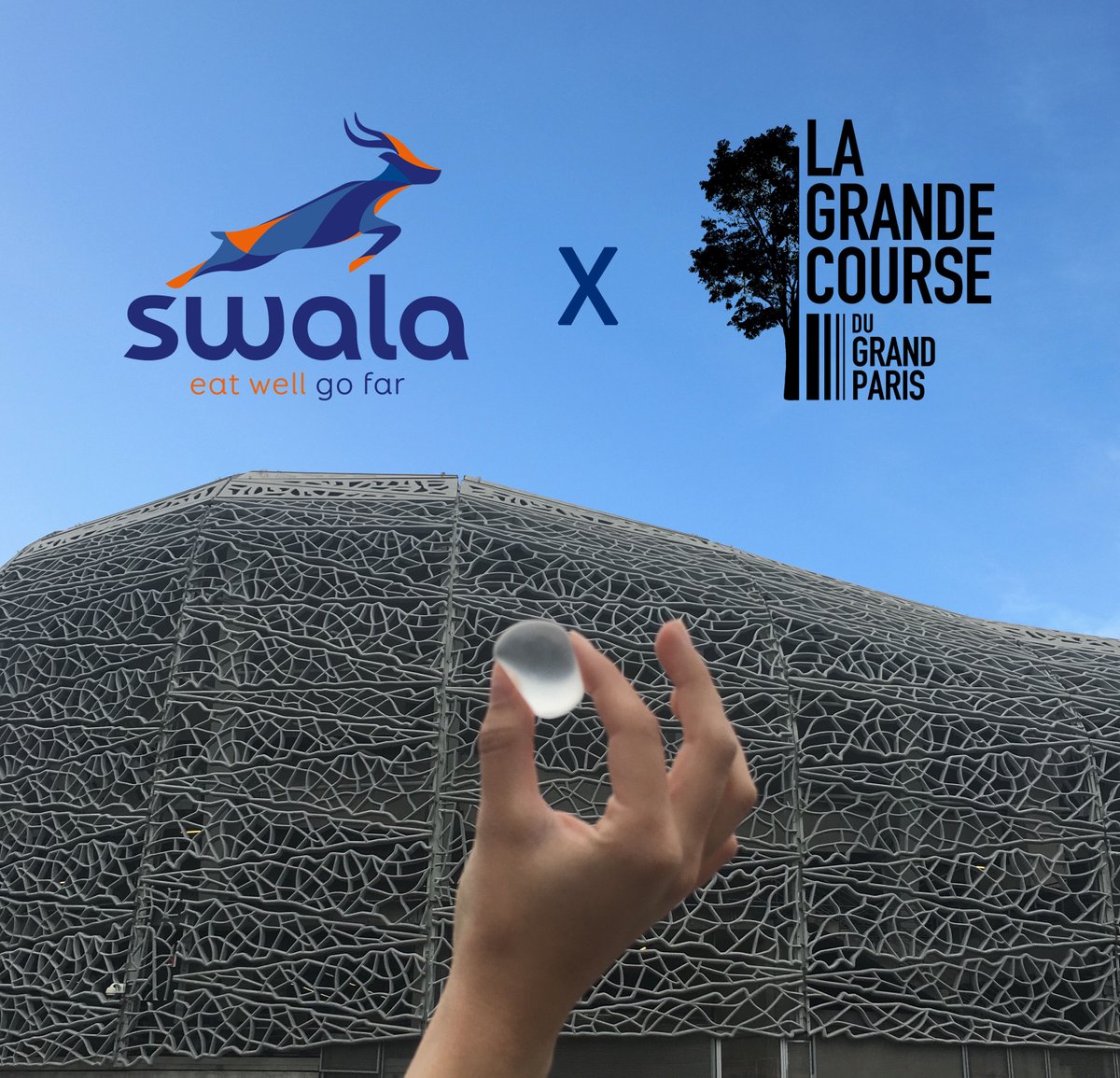 Wise Pack tweet media