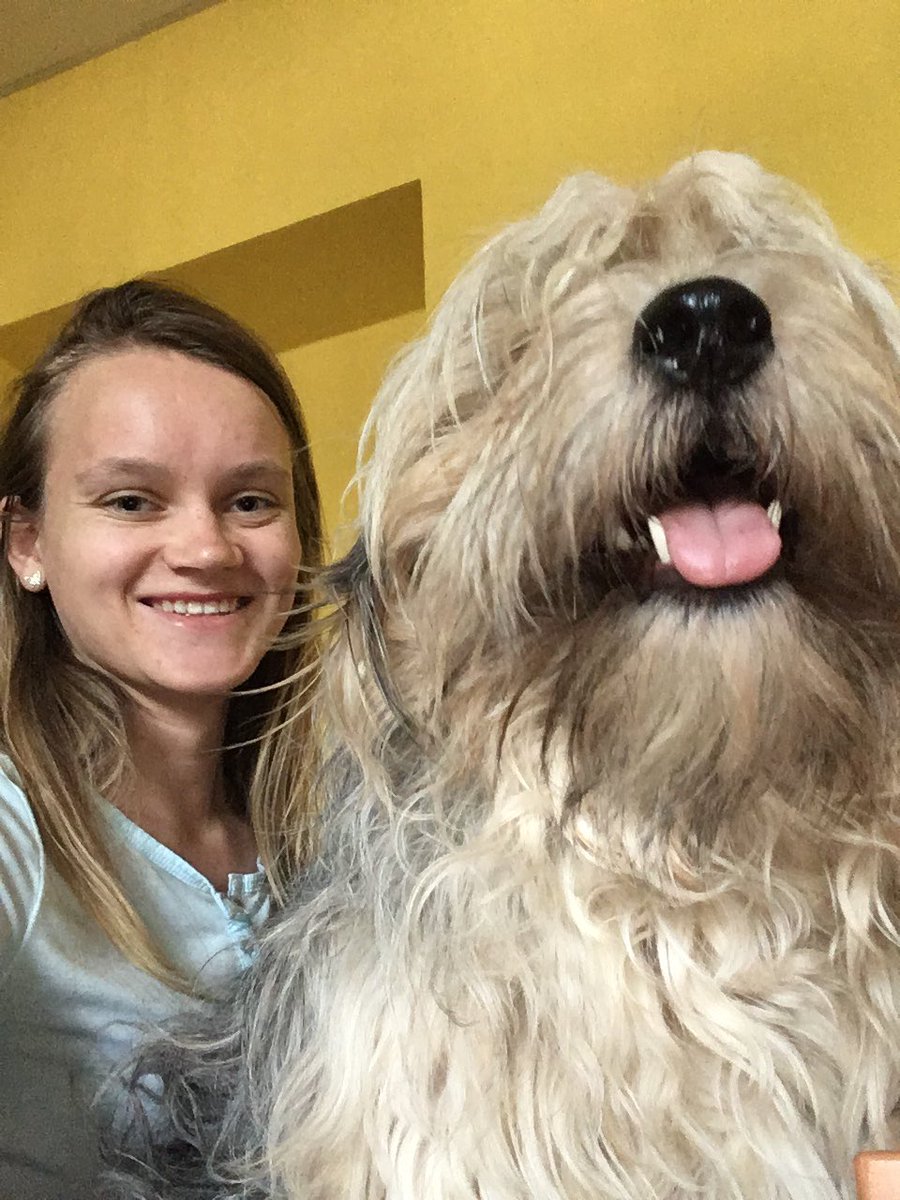 thevetgeek's tweet photo. There's a dog in my class. It is mine for the next 95 minutes! #dog #stolen #class #vetstudent #vetschool #mine #uvlf https://t.co/Vhr9pJ3dfW