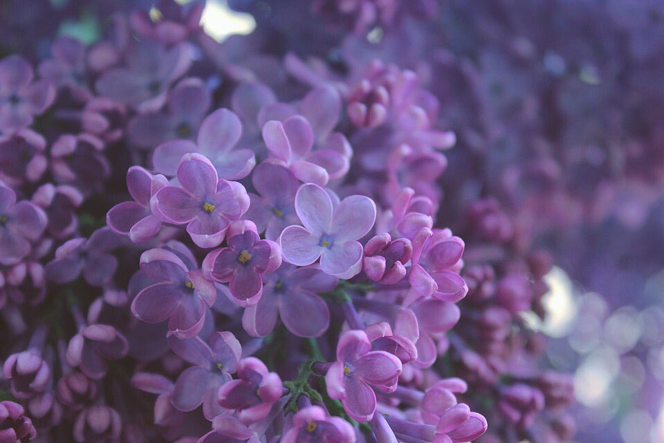 coral__RB's tweet photo. 170507 🍬☔️🎆（@winterVerry1230 님）
#방탄소년단 #태형 #뷔 @BTS_twt https://t.co/moOH7mq2VH