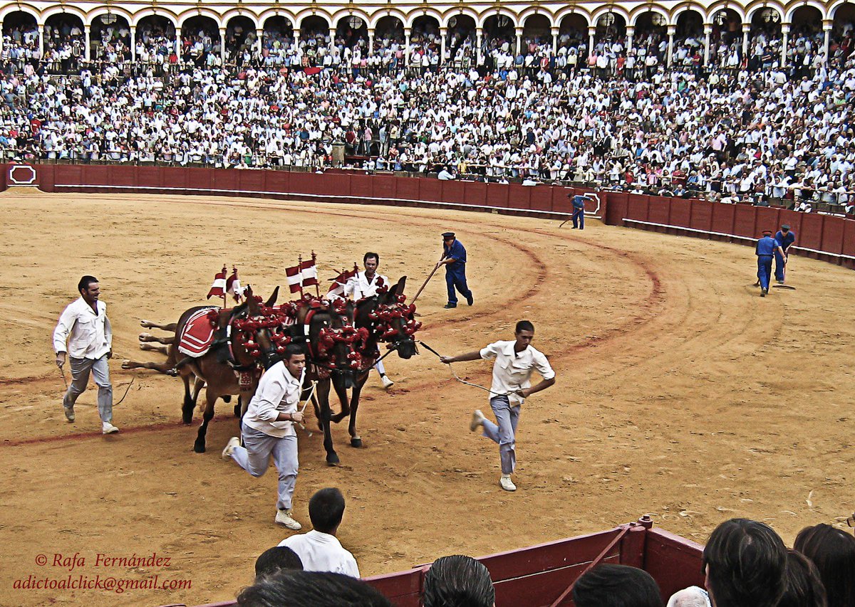El Recuadro "Babuchazos taurinos"
En vez de premios como todos, yo doy mis Babuchazos por la Feria de Sevilla antonioburgos.com/abc/2017/05/re…