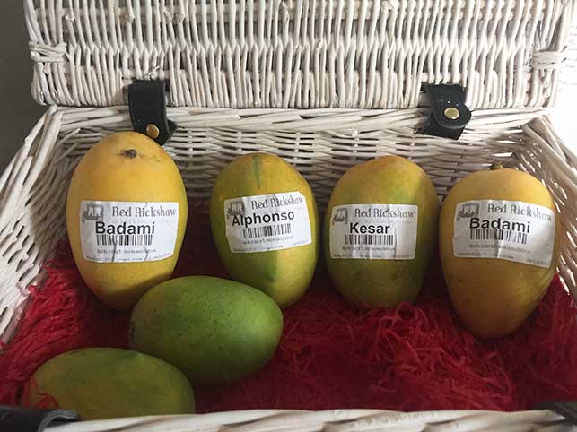 foodepedia's tweet photo. Make the most of mangoes. The season is now and you can't afford to miss it @redrickshawfood https://t.co/UJCavldjgm https://t.co/15Yh4jlcct