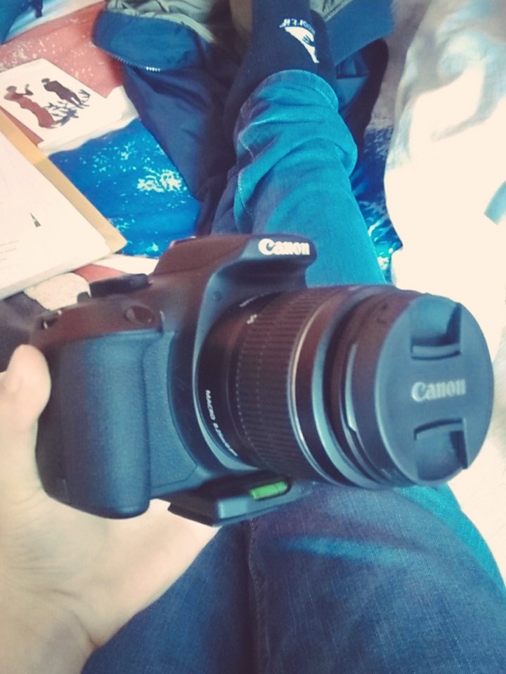 LeTimerone's tweet image. Nouveau bébé 😍