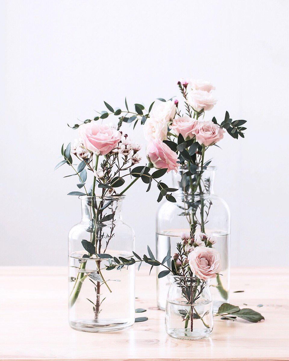 Un peu de douceur et de jolies fleurs pour bien commencer la semaine 🌸🌿urlz.fr/5eKJ