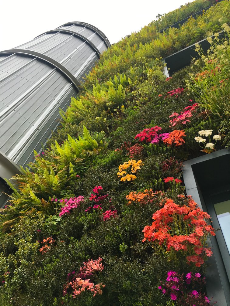 UniOfYork's tweet photo. The living wall on the side of the @YorkEnvironment Building is looking beautiful today 🌺🐝🌼 https://t.co/gFnsOUSFK4