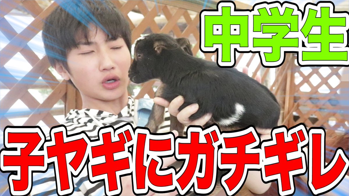 show_w_w's tweet photo. "家族で牧場三日間連続通いつめて見た！動物嫌いの中学生ガチギレるww" を YouTube で見る https://t.co/QJ3ImjcyEl

リツイート、チャンネル登録、高評価よろしくお願いしますヽ(；▽；)ノ💕 https://t.co/WCzncS8nb0