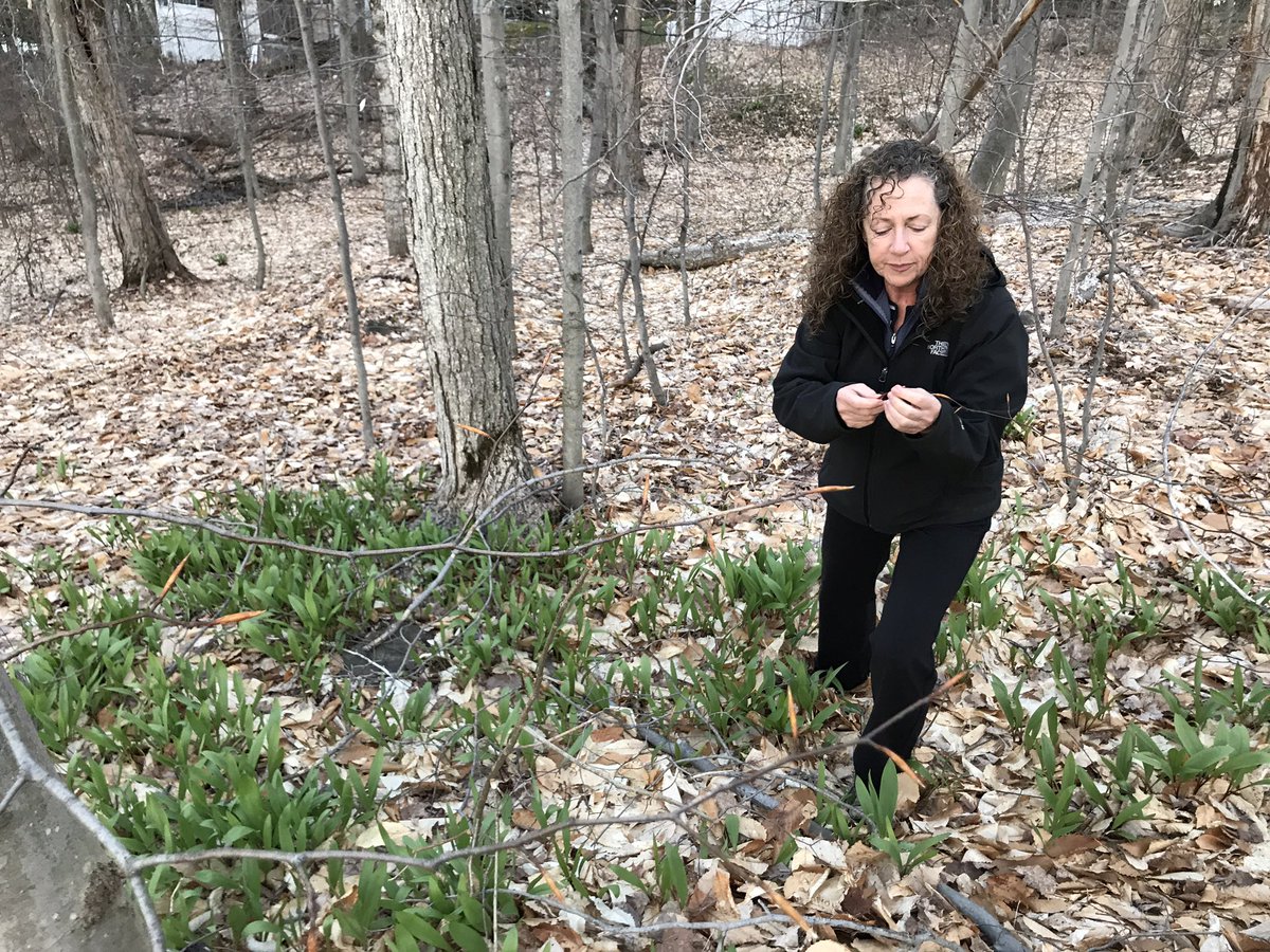 TamiAdams25's tweet photo. Learning with a view from Leah on how the JW has natural growing leaks on the property- yum!  #MPITOTEC https://t.co/6K2X941esF