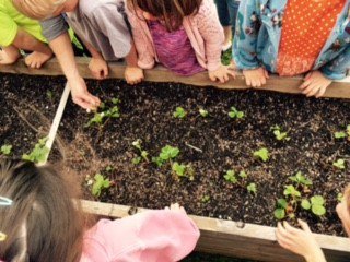 LCPSCafe's tweet photo. Cedar Lane and Sugarland Receive Grants for School Gardens https://t.co/kAbSQp3nCj https://t.co/xNrgIdMQoQ