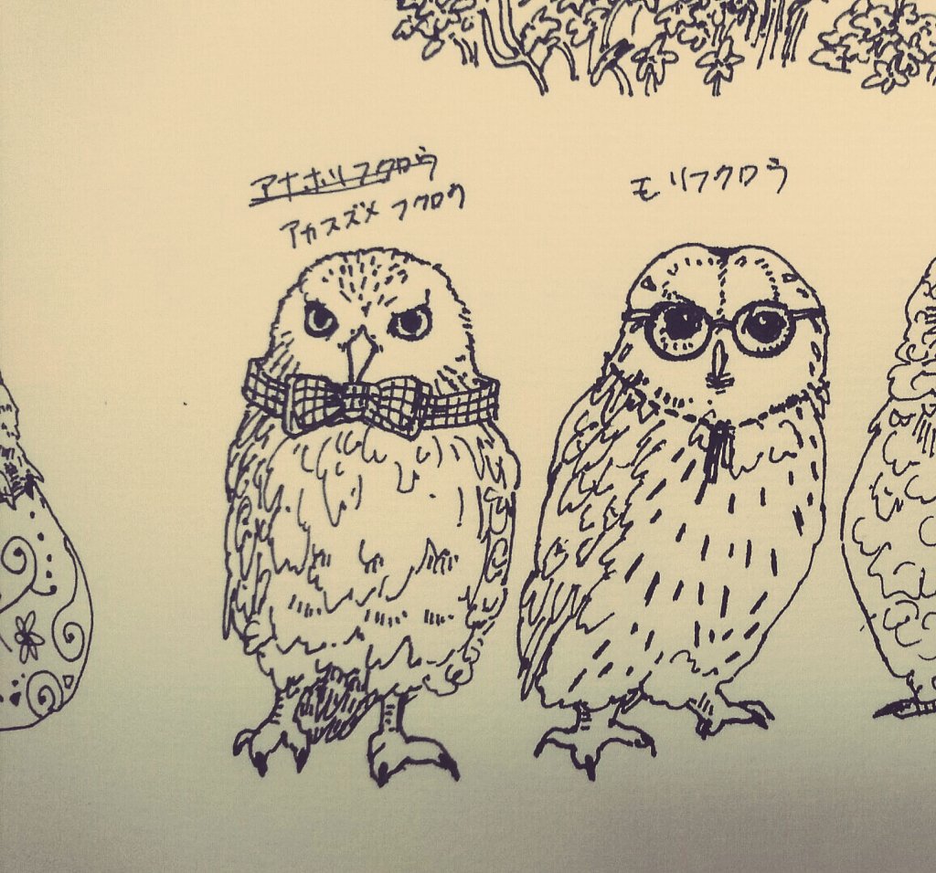 スフィンクスゆかり Twitterissa 久々ログイン オシャレowl フクロウ イラスト デザフェス