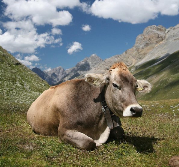 How's your Monday? #WorldMeatFreeDay #Vegan #vegetarian #Health